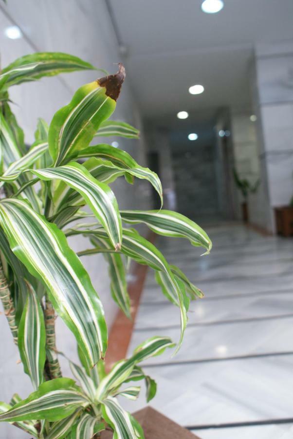 Calma Chicha Apartment Malaga Ngoại thất bức ảnh